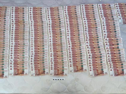 Более 2 млн рублей нашли у полицейских, задержанных по делу о нелегальной миграции в Ленобласти и Петербурге