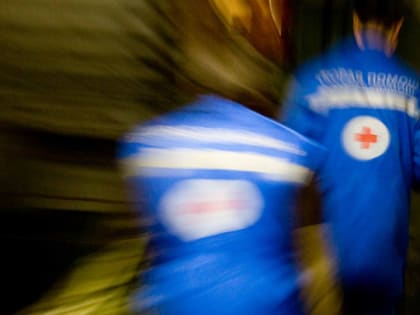 Уголовное дело возбуждено после гибели ребенка под Кингисеппом от арматуры-громоотвода