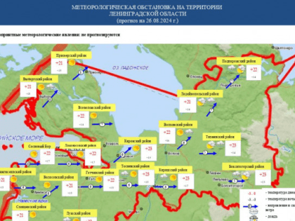 Погода в Ленобласти: облачный и дождливый понедельник