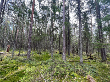 Установлены типовые правила организации и осуществления туризма на ООПТ