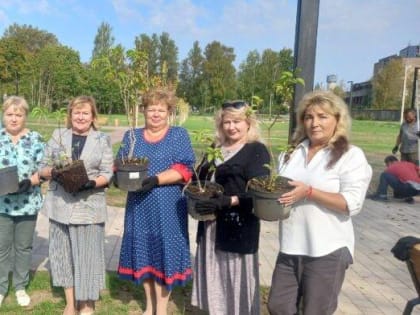 Сквер Ритингов продолжают благоустраивать