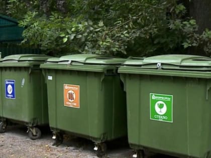 Возле пляжей и экотроп в Ленобласти могут появиться контейнеры для сбора мусора