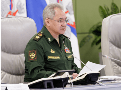 Шойгу приказал контролировать поставки оружия в зону СВО