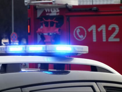 Полиция ищет поджигателя дачи стоимостью под 3 млн рублей под Выборгом