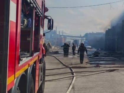 На КАД за Новосаратовкой тушили «Форд Транзит»