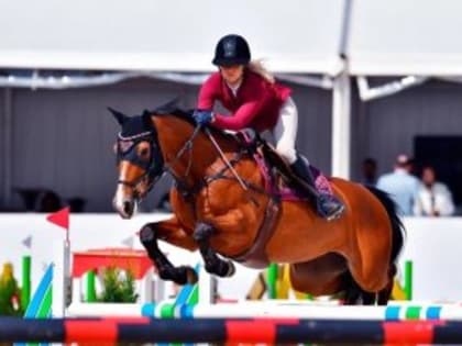 Всеволожский район - на коне!