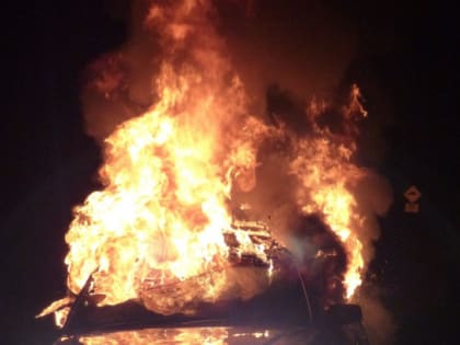 Во Всеволожске без угроз сожгли «Мерседес» безработного