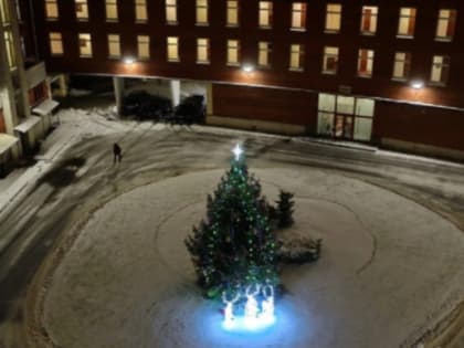 Петербуржцев и жителей Ленобласти предупредили об усилении ветра 16 января