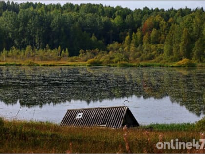 Тосненские спасатели вывели из леса двух заблудившихся женщин