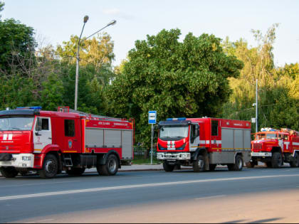 Сразу три участка пострадали при пожаре в садоводстве под Всеволожском
