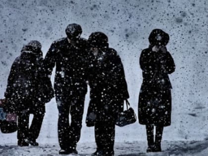 В понедельник в Ленобласть придет потепление и солнце