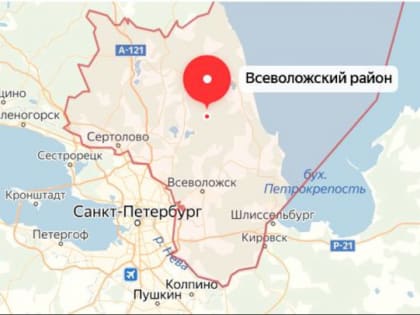 «Временное отсутствие не скажется на исполнении обязательств». Губернатор Дрозденко прокомментировал отставку Андрея Низовского