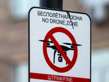 В Госдуме призвали запретить использовать дроны в России