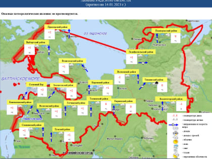 В Ленобласти 14 января потеплеет до +4
