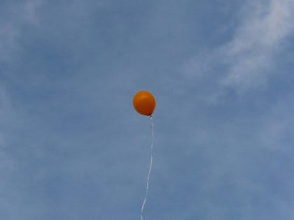 Кругом шпионы. Над Канадой сбили неопознанный объект