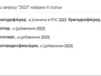 Вслед за «шавермой» словарь русского языка официально пополнил «бригадефюрер»