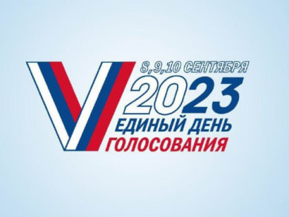 Наблюдение за выборами в Москве не имеет аналогов в мире, заявила Памфилова