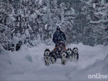 Похолодание до минус 5 градусов ожидается в Ленобласти 2 января