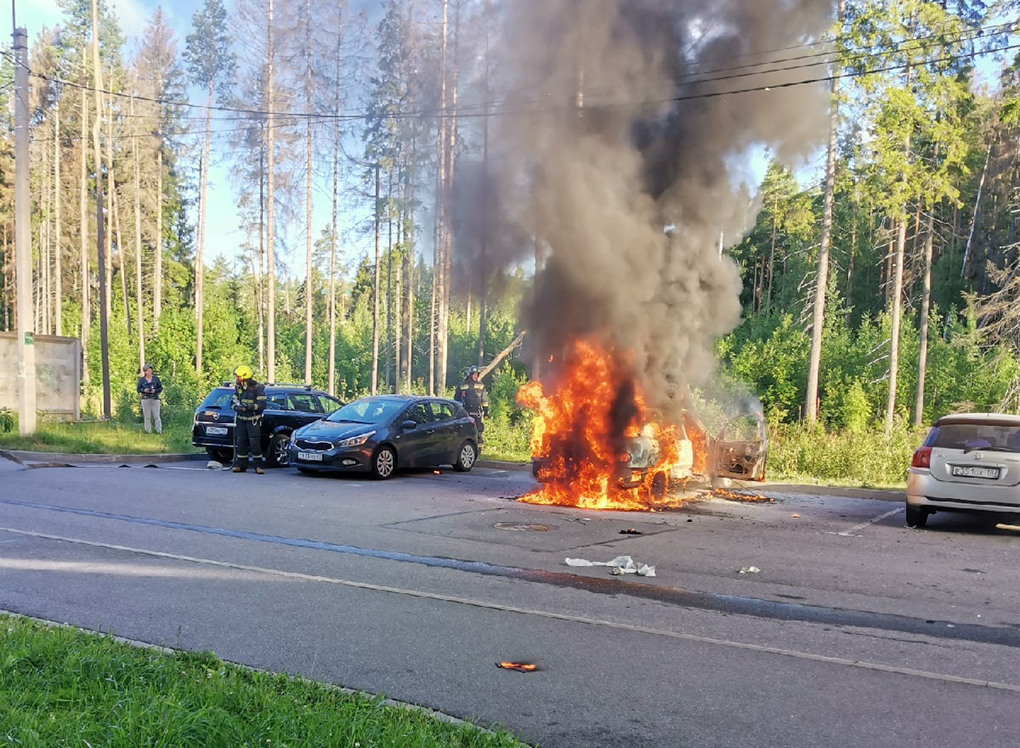 Выборг новости происшествия