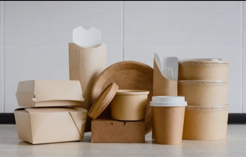 Ghana Set to Phase Out Single-Use Styrofoam, Transition to Environmentally Friendly Packaging Options