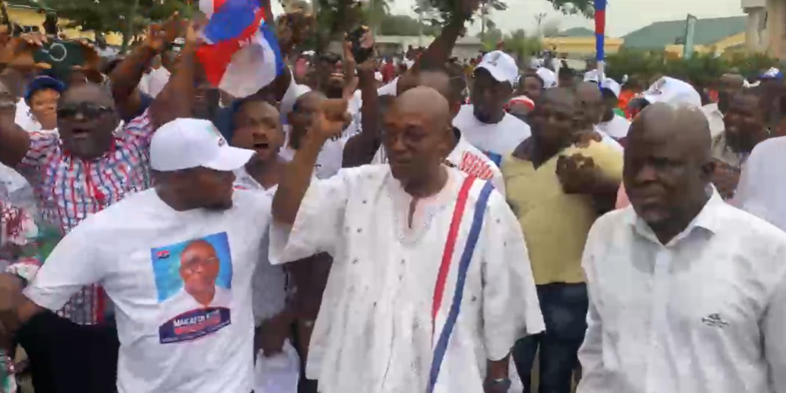 Makafui Kofi Woanyah Secures Re-election as NPP Volta Regional Chairman