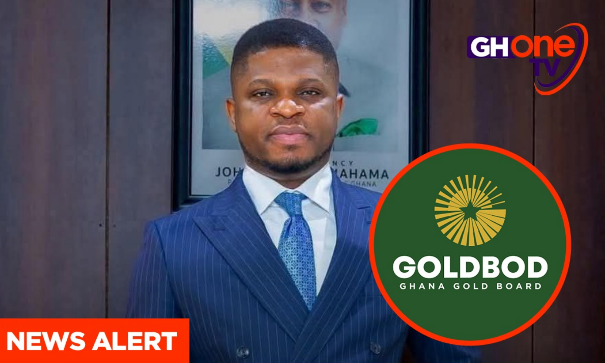 Gold Board CEO Pledges Parliamentary Testimony Amid DGPP Loss Allegations