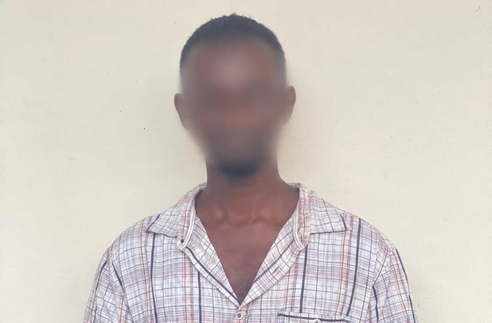 Northern Region Police Arrest Man Over Provocative TikTok Video on Late Mion Lana
