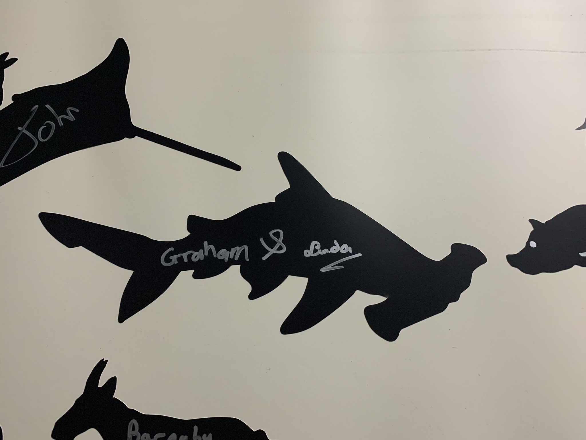 Christian environmentalism and industrial fishing