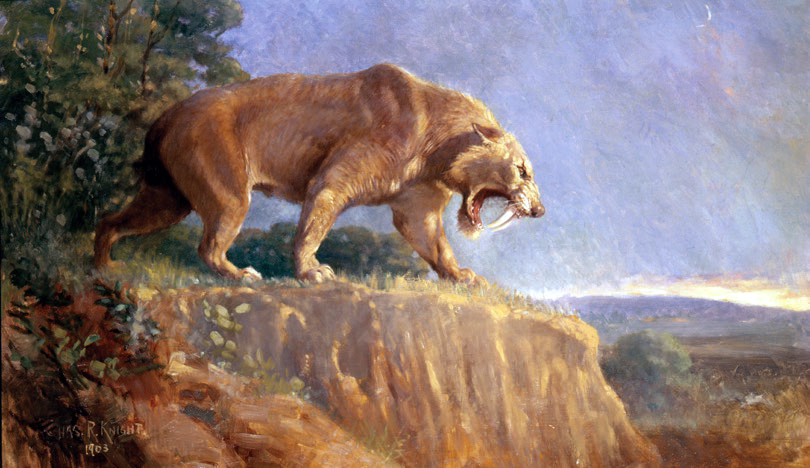 Charles Knight's Smilodon