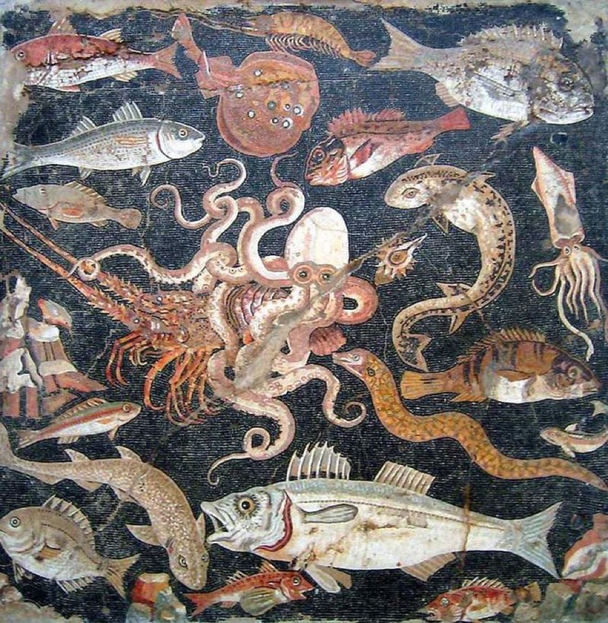 Roman seafood mosaic