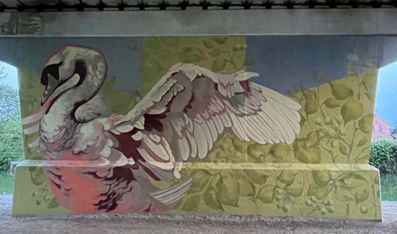 A swan in this East Yorkshire mural