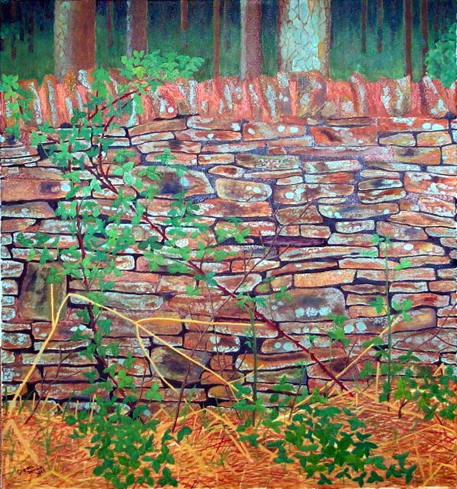 Derbyshire dry stone wall