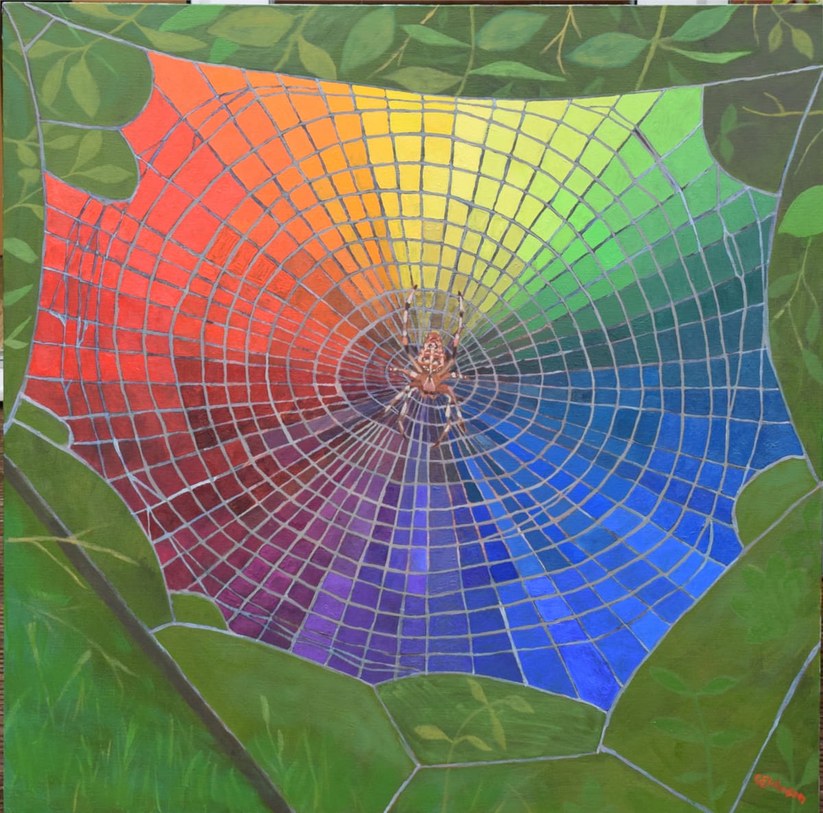 Spider's Web Colour Wheel