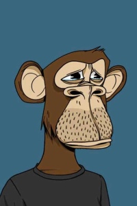 Bored Monkey type NFT - Copyright OpenSea