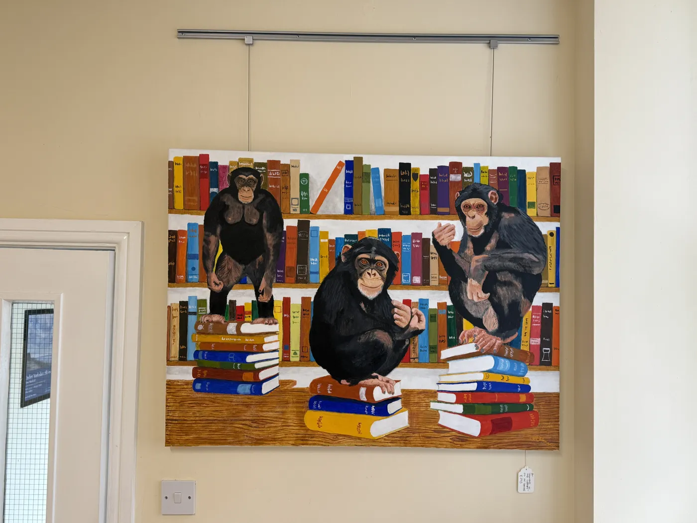 The chimps in the library