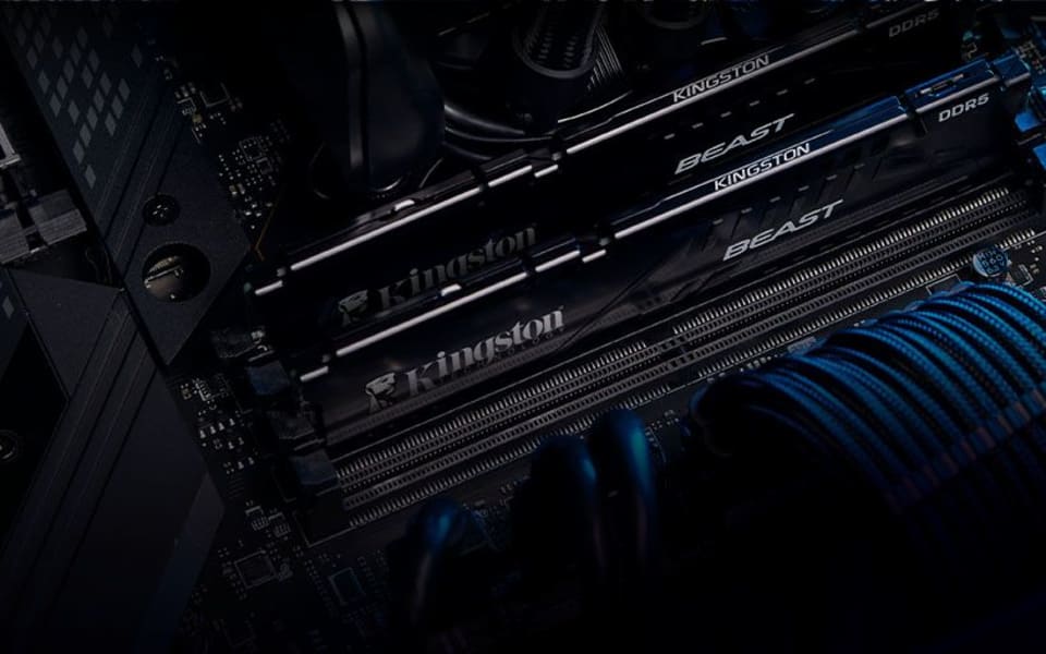 Beast DDR5 · RGB yok