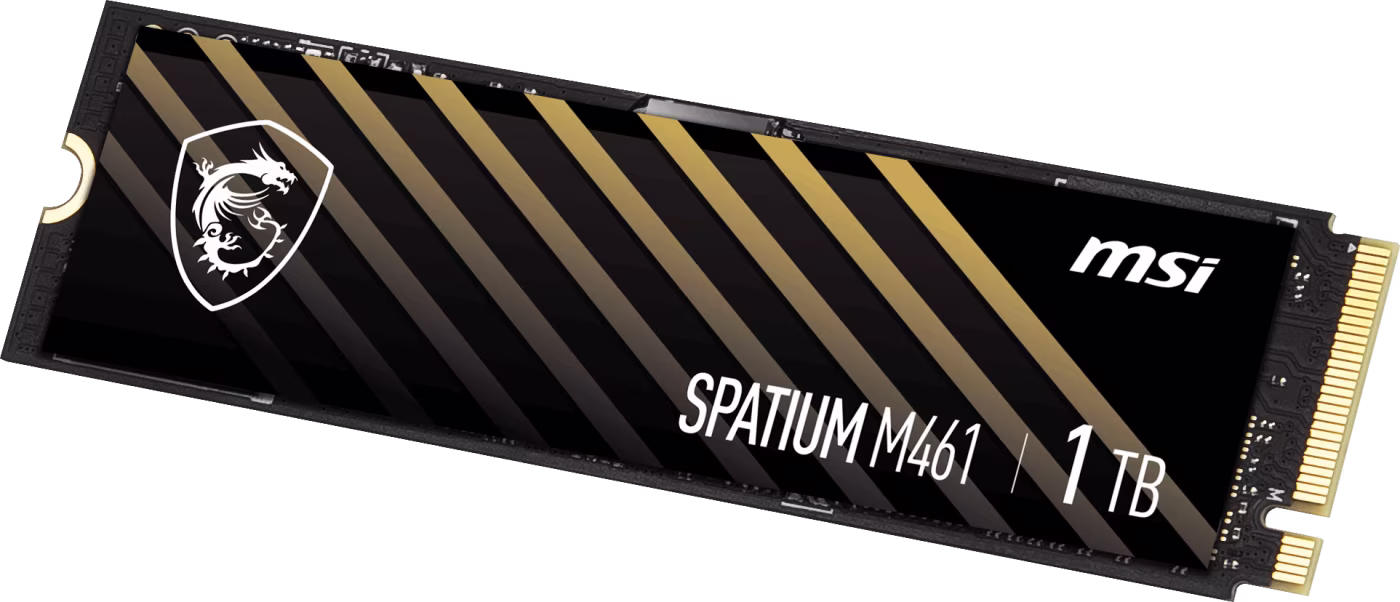 MSI Spatium M461 1TB PCIe 4.0 NVMe M.2 SSD (5000MB Okuma / 3200MB Yazma) - 1