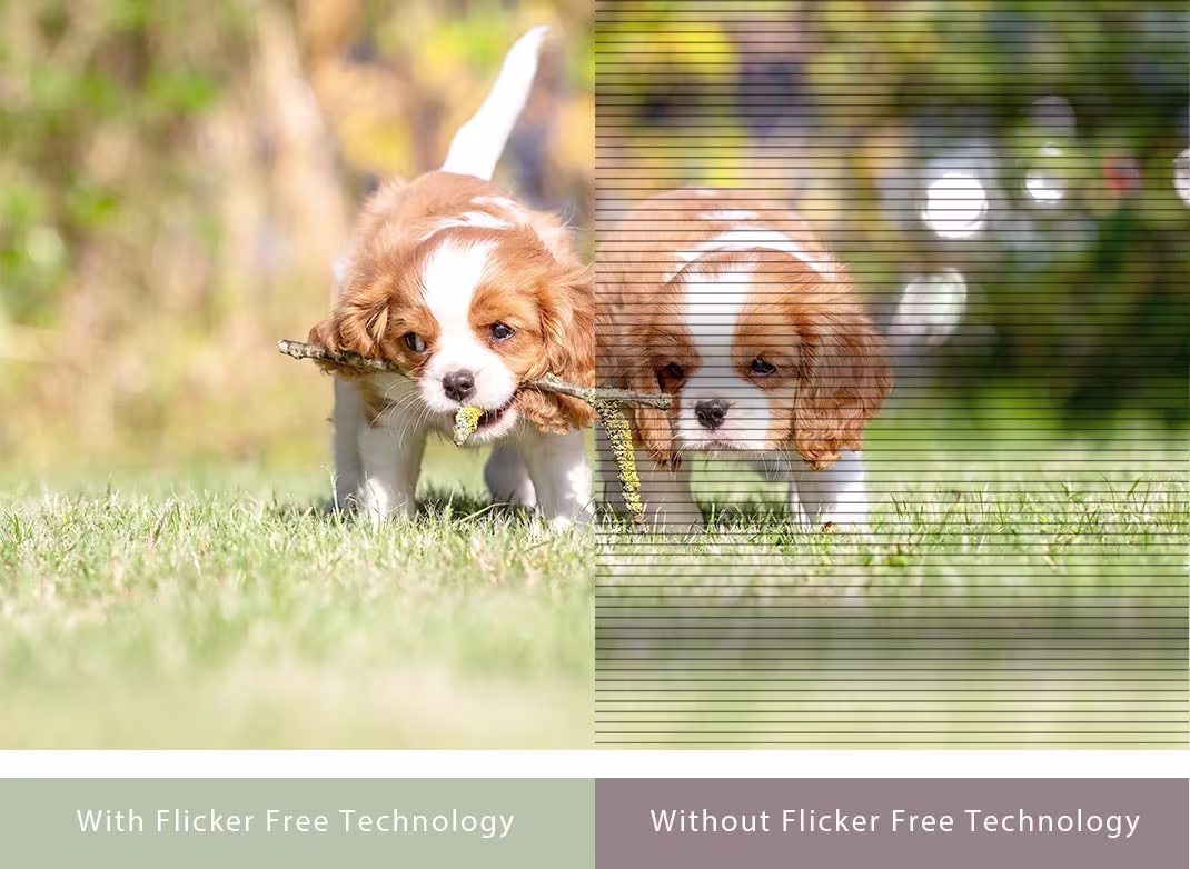 Eye Care+ · Flicker-free · mavi ışık filtresi