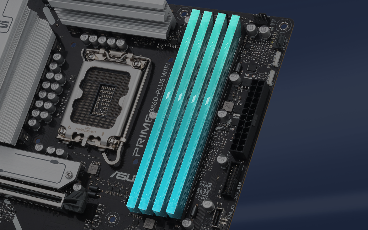 PRIME B860-PLUS WIFI DDR5 bellek