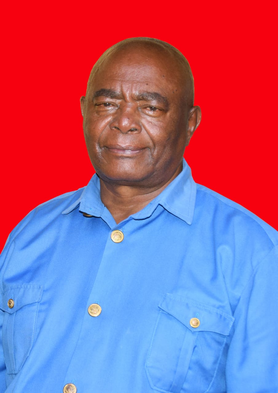 Board Member