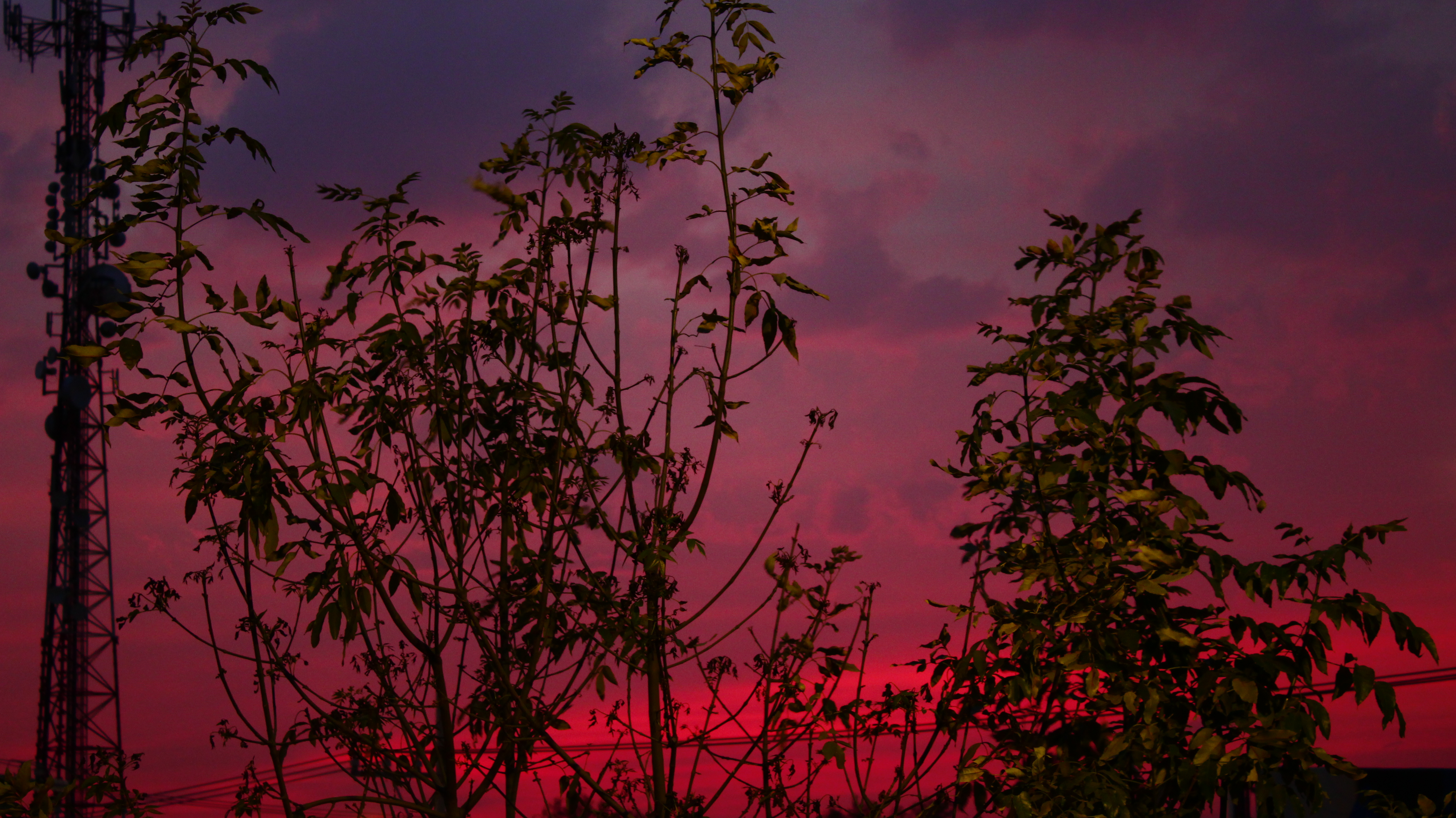 A sunset a very very long time ago.