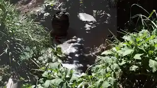 Miniatura: JAL COMUNA 4 ARANJUEZ MEDIO AMBIENTE