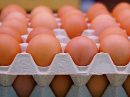 Екатеринбургские магазины подняли цены на яйца до рекордных 104 рублей