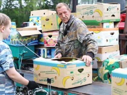 Кабачки начинают и лидируют