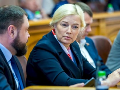 Оппозиционные фракции блокируют закон о декларациях челябинских депутатов