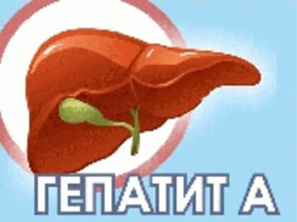 В Краснотурьинске зафиксированы случаи заражения «гепатитом А», проводится вакцинация