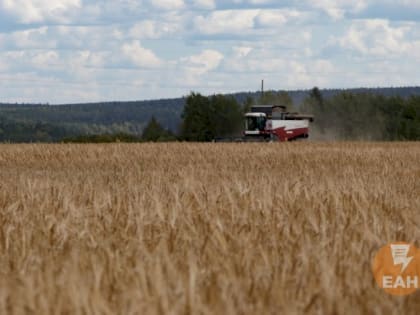 Исполняющим обязанности министра АПК Свердловской области назначен Сергей Шарапов