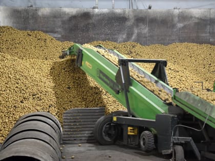 Исполняющим обязанности главы свердловского МинАПК стал Сергей Шарапов