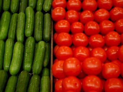 Россиянам объяснили резкий скачок цен на огурцы