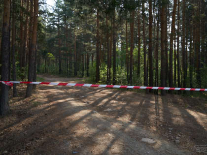 В Свердловской области запретили посещать леса до 21 июня